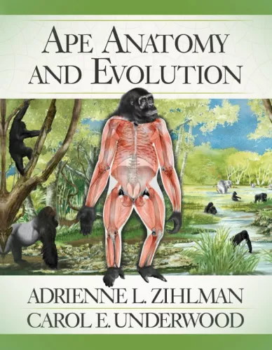 Book cover for Ape Anatomy