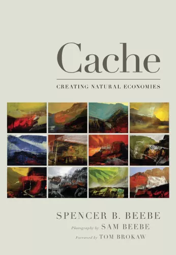 Book cover for Cache