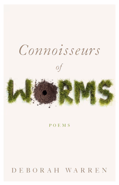 Book cover for 