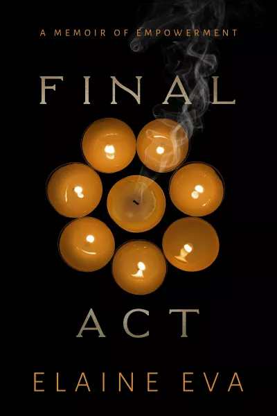 Book cover for 