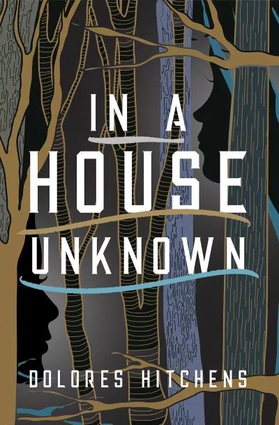 Book cover for