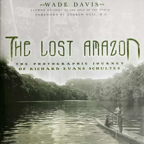 Book cover for The Lost Amazon