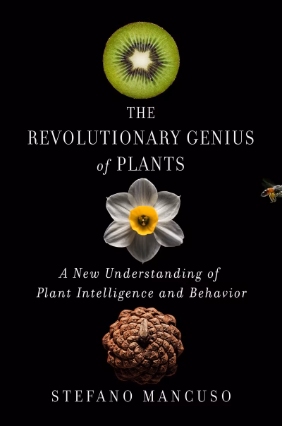 Book cover for 