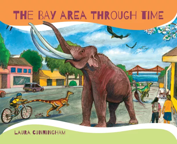 Book cover for Bay Area Through Time