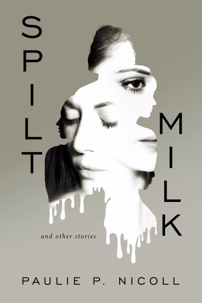Book cover for 