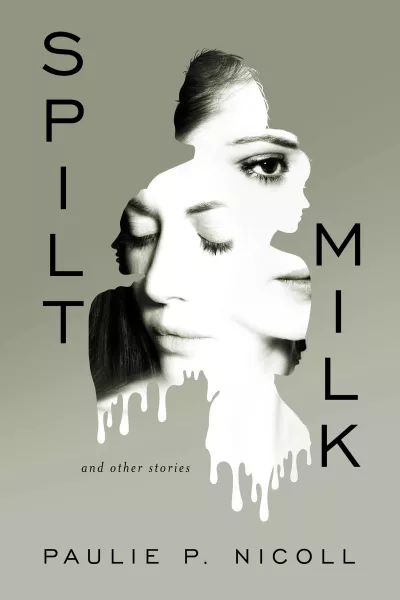 Book cover for 