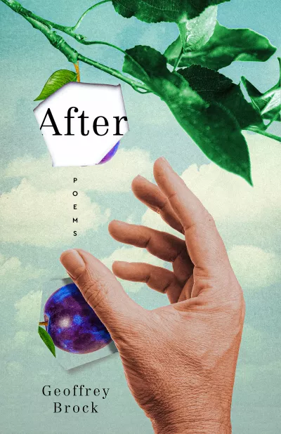 Book cover for 
