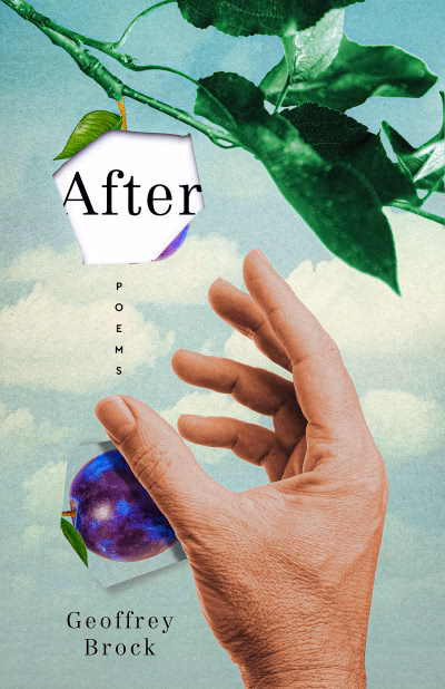 Book cover for 