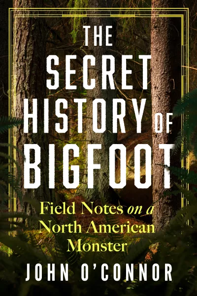 Book cover for 