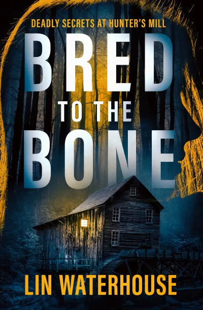 Book cover for 
