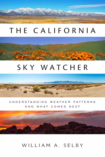 Book cover for 