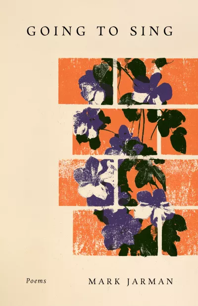 Book cover for 