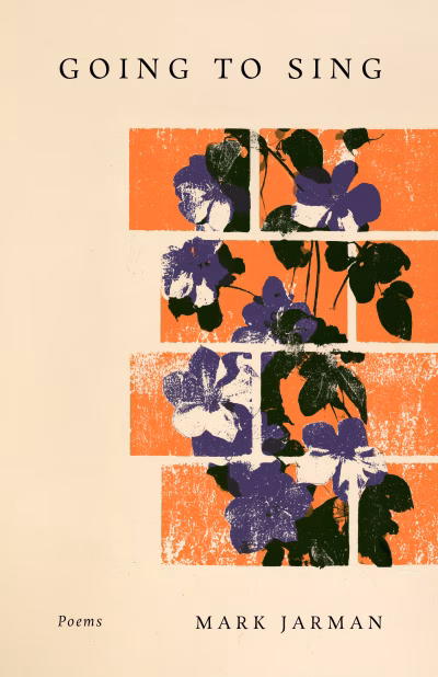 Book cover for 