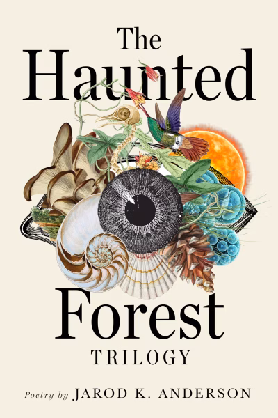 Book cover for 