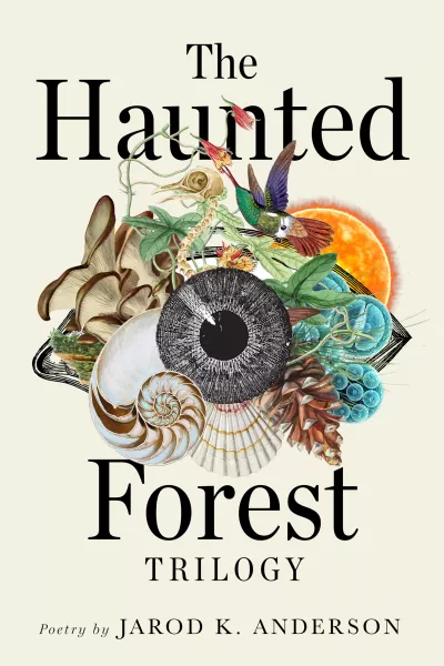 Book cover for 