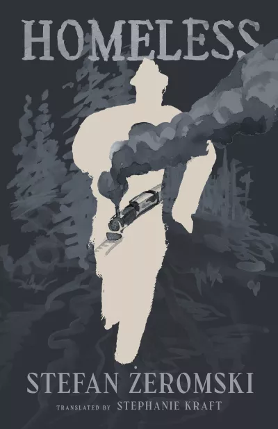 Book cover for 