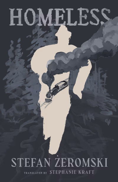 Book cover for 