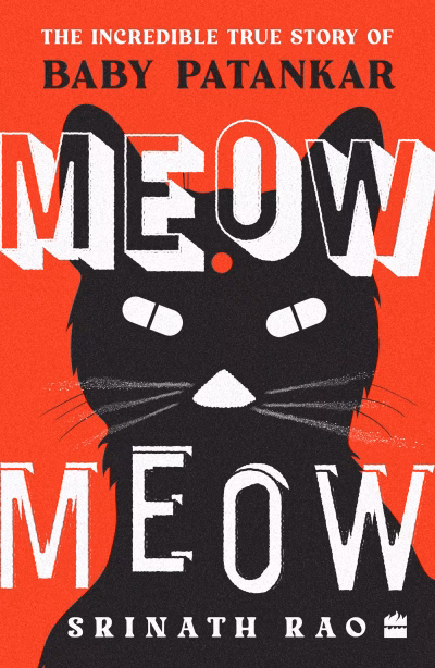 Book cover for 