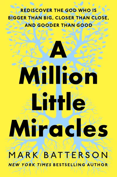 Book cover for 