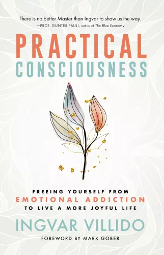 Book cover for Practical Consciousness