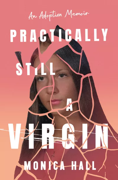 Book cover for 