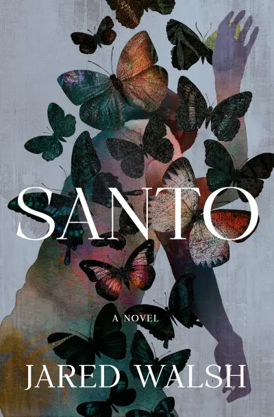 Book cover for 