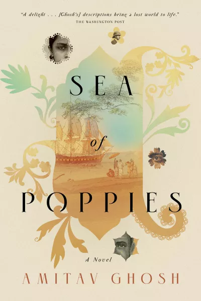 Book cover for 