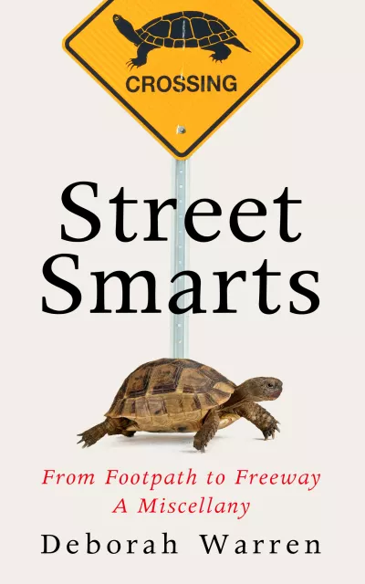 Book cover for 