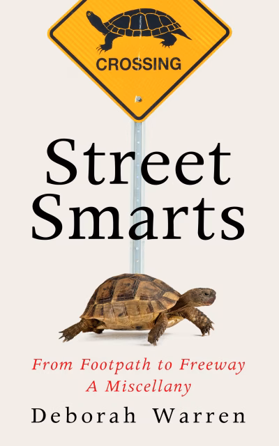Book cover for 