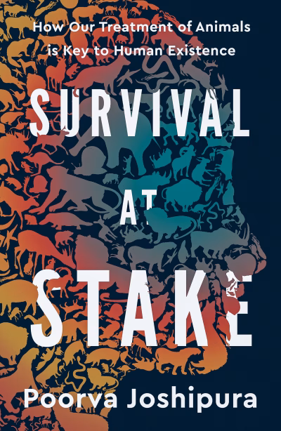 Book cover for 