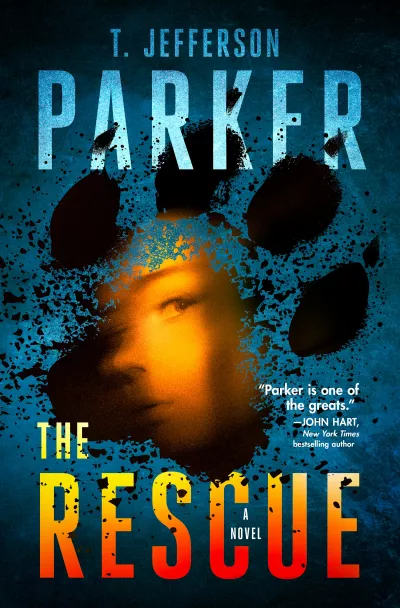 Book cover for 