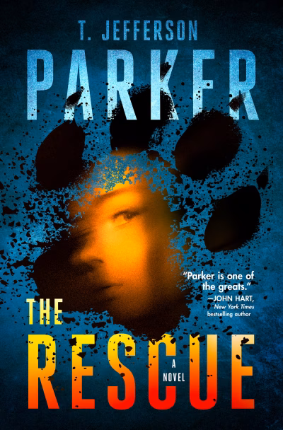 Book cover for 