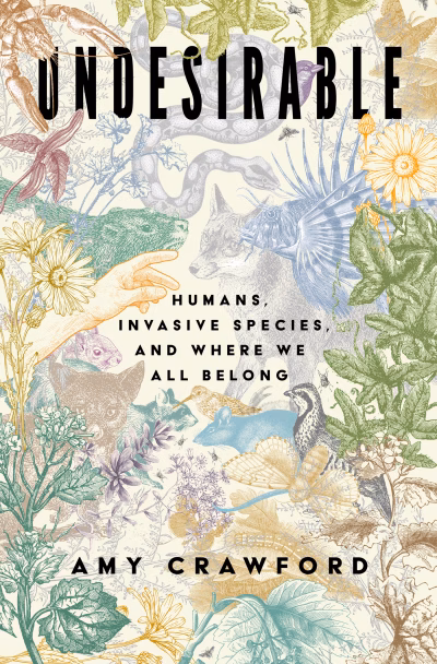 Book cover for 