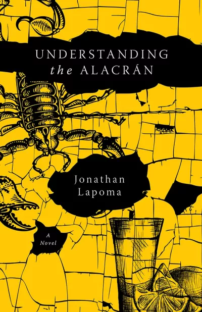 Book cover for