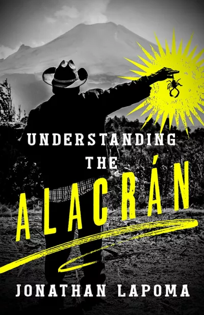Book cover for