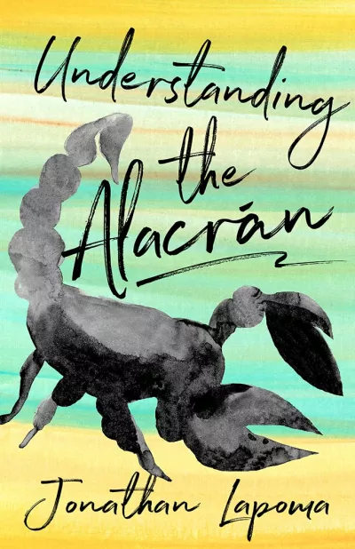 Book cover for