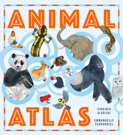 Book cover for 