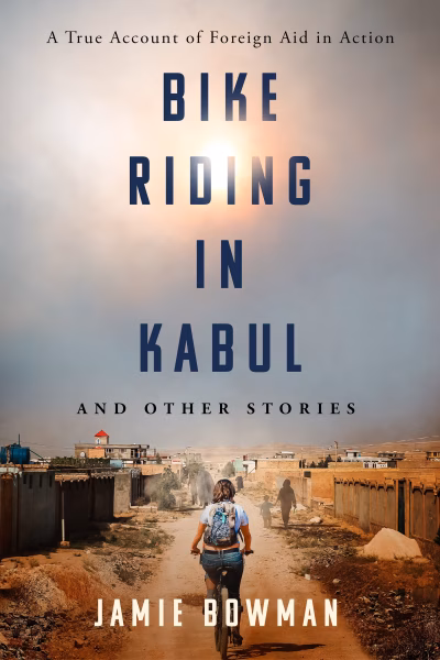 Book cover for 