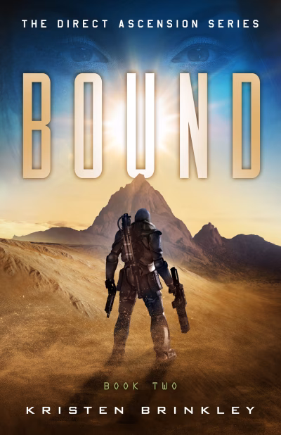 Book cover for 