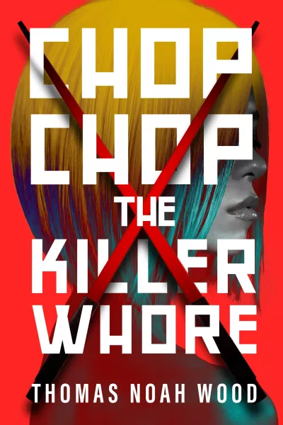 Book cover for 