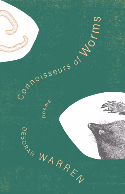 Book cover for 