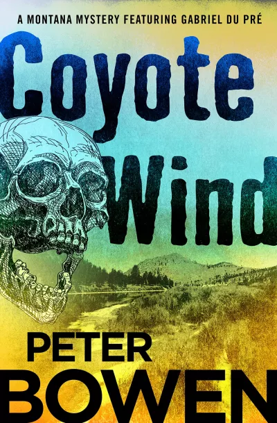 Book cover for 