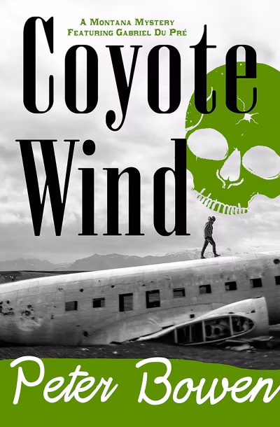 Book cover for 