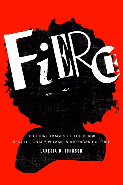Book cover for 
