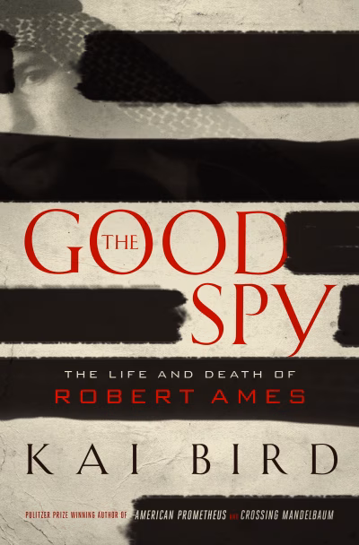 Book cover for 