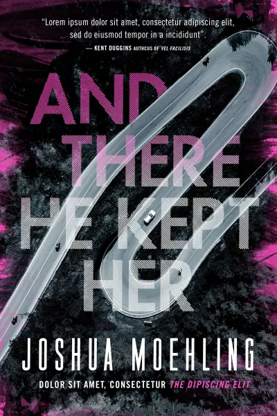 Book cover for 