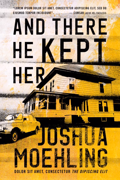 Book cover for 