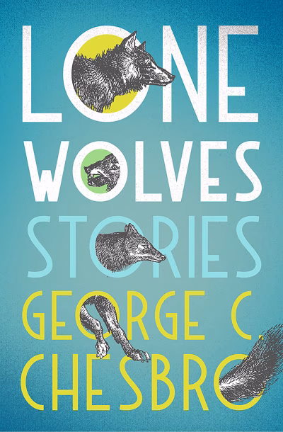 Book cover for 