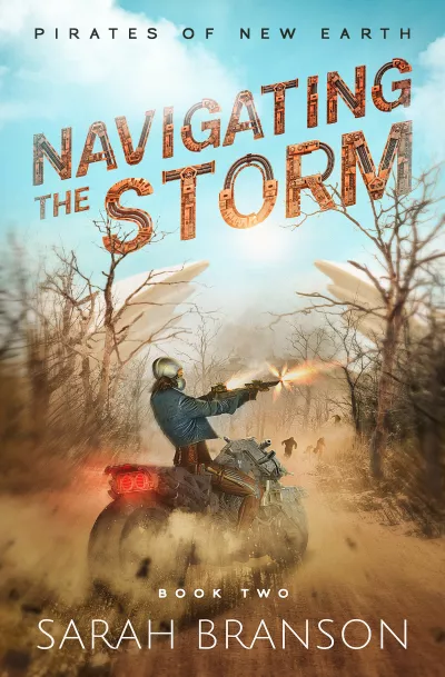 Book cover for 