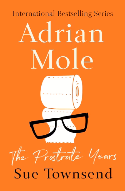 Book cover for 